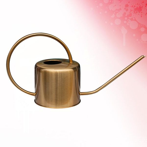 1pc plants watering can stainless steel long spout succulents watering kettle gardening tool (golden)
1pc plants watering can stainless steel long spout succulents watering kettle gardening tool (golden)