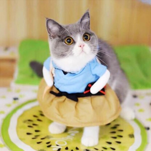 смешные кошки одежда пиратский костюм одежда для костюма костюма одежда корсар хэллоуин одежда одеваются кошка костюм костюма bbyawi
смешные кошки одежда пиратский костюм одежда для костюма костюма одежда корсар хэллоуин одежда одеваются кошка костюм костюма bbyawi