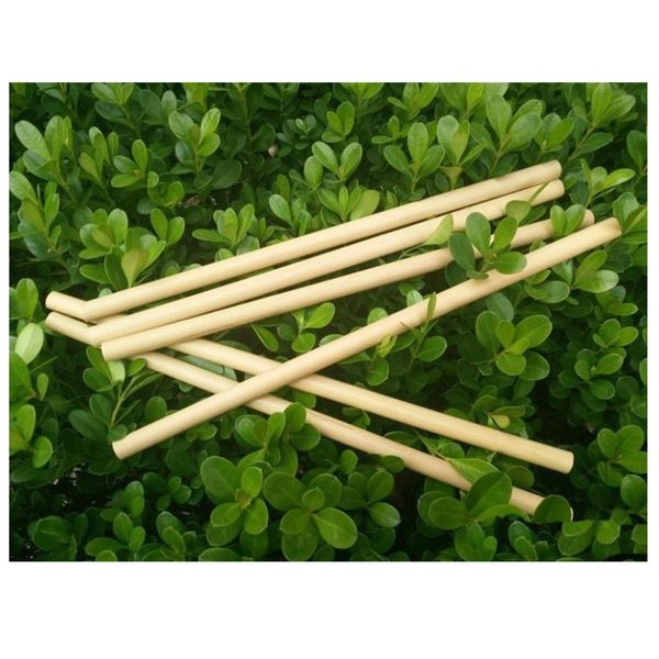 natural bamboo drinking straws juice water beer straw reusable eco friendly tubularis for bar party birthday wedding decorations 2 5zd zz
natural bamboo drinking straws juice water beer straw reusable eco friendly tubularis for bar party birthday wedding decorations 2 5zd zz