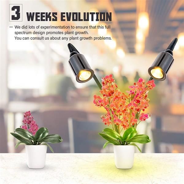 24w dimmable two-head flat clip corn led grow lights full spectrum warm white plant light for indoor plants
24w dimmable two-head flat clip corn led grow lights full spectrum warm white plant light for indoor plants