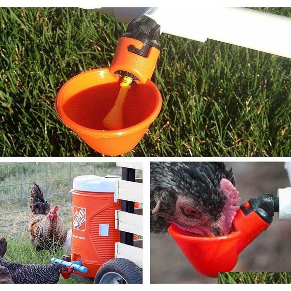 10pcs 20pcs 40pcs poultry water drinking cups plastic poultry chick qylvyo packing2010
10pcs 20pcs 40pcs poultry water drinking cups plastic poultry chick qylvyo packing2010