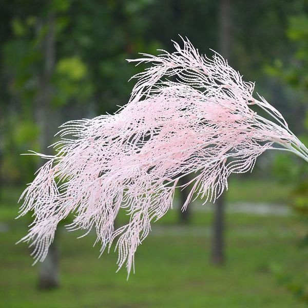 model fan rime flower artificial pteris multifida poir wedding network safflower material wedding landscaping imitation flowers
model fan rime flower artificial pteris multifida poir wedding network safflower material wedding landscaping imitation flowers