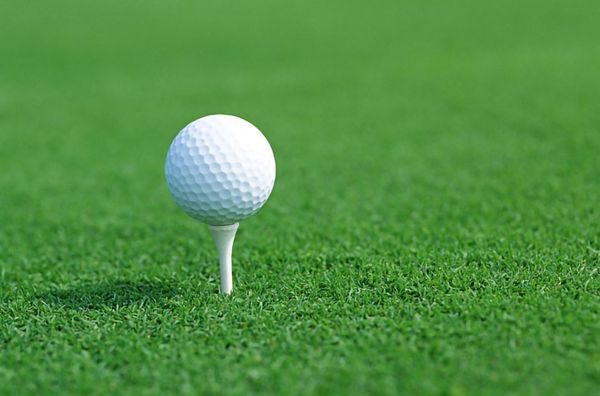 pgm practice ball golf double practice ball blank practice golf balls 80 hardness mini golf balls 12pcs
pgm practice ball golf double practice ball blank practice golf balls 80 hardness mini golf balls 12pcs