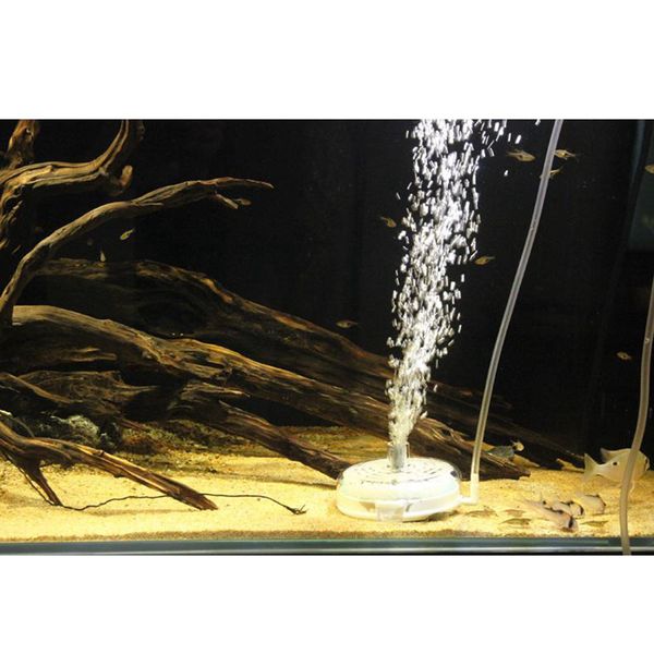 ultra thin sponge fish tank aquarium filter round mini hydroponic oxygen release filter equipment
ultra thin sponge fish tank aquarium filter round mini hydroponic oxygen release filter equipment