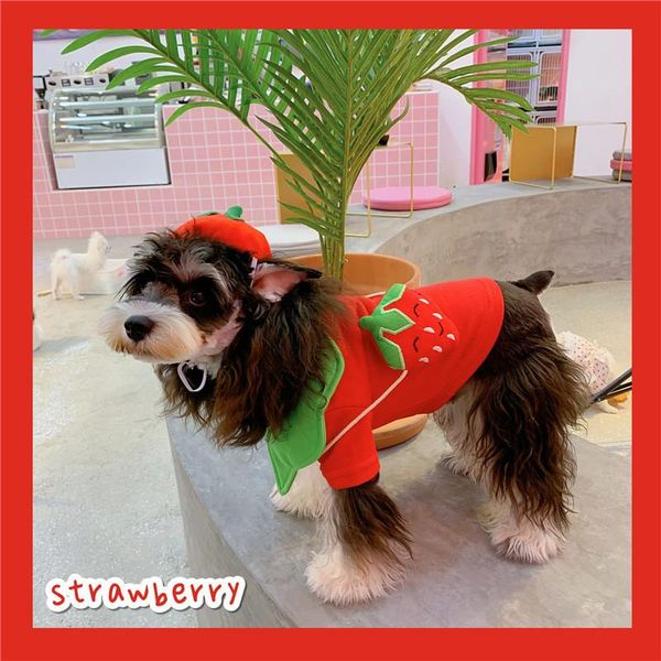 dog apparel fashion firut printing pullover for small dogs comfortable warm sweater cardigan lovely s pets clothes
dog apparel fashion firut printing pullover for small dogs comfortable warm sweater cardigan lovely s pets clothes