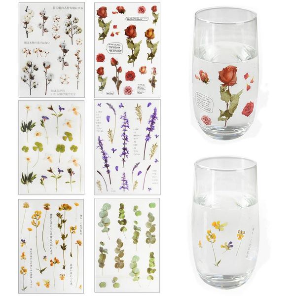 gift wrap 5sheets natural plant daisy rose clover floral transparent sticker pet material flowers leaves diary scrapbooking decor stickers
gift wrap 5sheets natural plant daisy rose clover floral transparent sticker pet material flowers leaves diary scrapbooking decor stickers