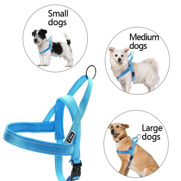 no pull reflective dog harness leash set pet vest lead for small meduim large dogs perfect for daily training walki bbyfnb
no pull reflective dog harness leash set pet vest lead for small meduim large dogs perfect for daily training walki bbyfnb