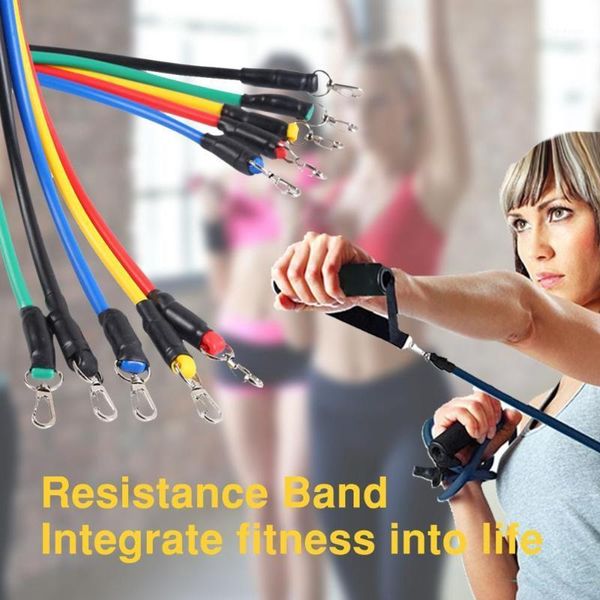 resistance bands unique 11pcs/set latex cros training exercisetubes pull rope,rubber expander elastic fitness with bag1
resistance bands unique 11pcs/set latex cros training exercisetubes pull rope,rubber expander elastic fitness with bag1