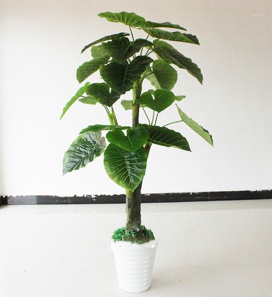 decorative flowers & wreaths 170cm large leaf dripping guanyin bonsai greenery artificial tree plastic el decoration simulation plants1
decorative flowers & wreaths 170cm large leaf dripping guanyin bonsai greenery artificial tree plastic el decoration simulation plants1