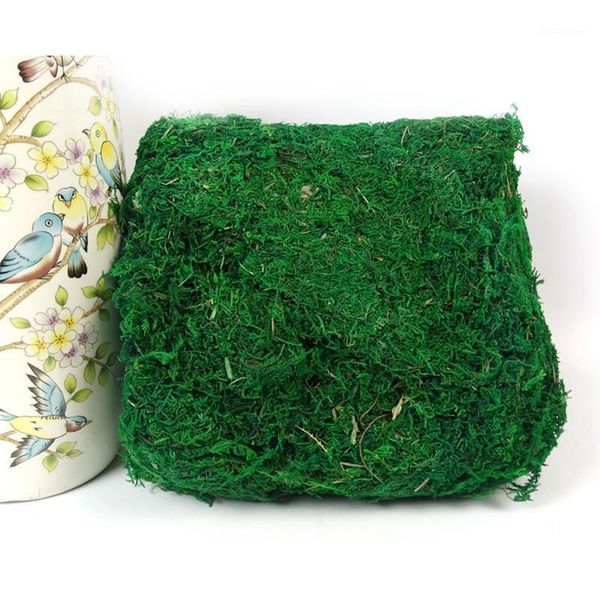 decorative flowers & wreaths keep dry real green moss plants vase artificial turf silk flower accessories for flowerpot decoration1
decorative flowers & wreaths keep dry real green moss plants vase artificial turf silk flower accessories for flowerpot decoration1