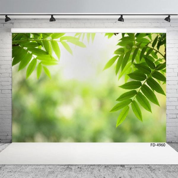 green leaves sunshine bokeh pgraphic background vinyl cloth backdrop for baby children spring party pcall p studio1
green leaves sunshine bokeh pgraphic background vinyl cloth backdrop for baby children spring party pcall p studio1