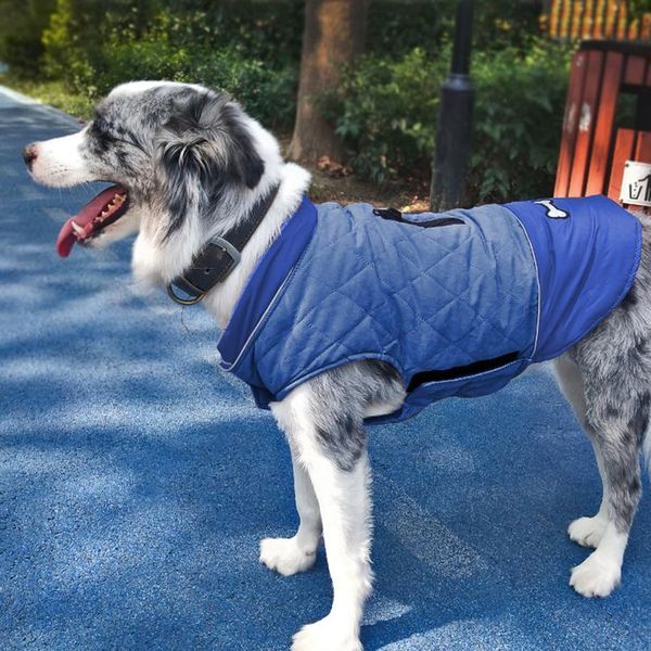 warm pet dog clothes coat winter dog puppy clothing jacket for small large dogs french bulldog chihuahua yorkie pets ro jllglu
warm pet dog clothes coat winter dog puppy clothing jacket for small large dogs french bulldog chihuahua yorkie pets ro jllglu