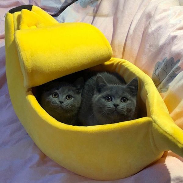 cat beds & furniture pet fluffy banana house cave cotton winter warm bed for cats hanging mat kennel cushion small dog puppy1
cat beds & furniture pet fluffy banana house cave cotton winter warm bed for cats hanging mat kennel cushion small dog puppy1