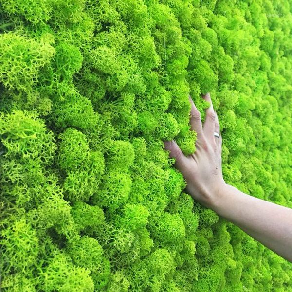 20g artificial plant eternal life moss garden home decoration wall diy flower material mini garden micro landscape accessories1
20g artificial plant eternal life moss garden home decoration wall diy flower material mini garden micro landscape accessories1
