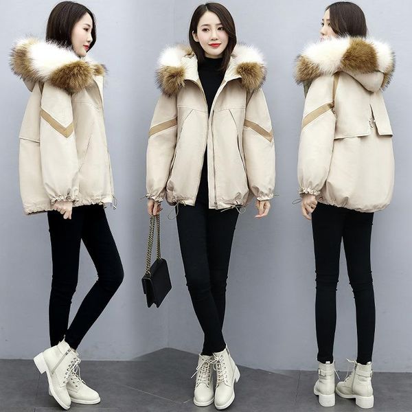 2020 this year qiu dong's brief paragraph cotton-padded jacket and fashionable new light down cotton-padded jacket, Black
2020 this year qiu dong's brief paragraph cotton-padded jacket and fashionable new light down cotton-padded jacket, Black