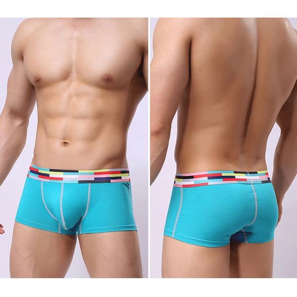 underpants men's boxer shorts men boxers home size -xl 5 color male underwear nq8335001, Black;white
underpants men's boxer shorts men boxers home size -xl 5 color male underwear nq8335001, Black;white