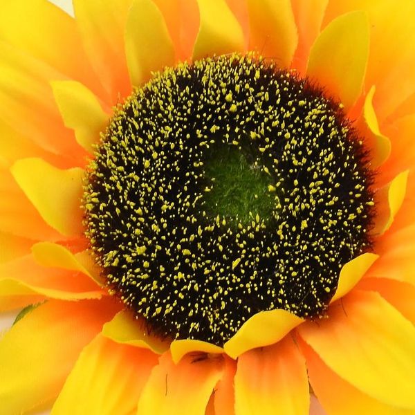 10pcs 14cm large sunflower head artificial silk flowers for diy scrapbooking wreath home wedding decoration fak bbyvwd
10pcs 14cm large sunflower head artificial silk flowers for diy scrapbooking wreath home wedding decoration fak bbyvwd