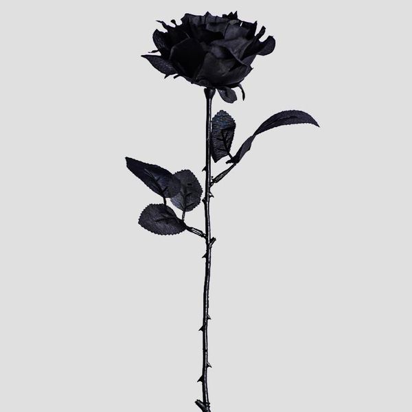 decorative flowers & wreaths 51/61cm artificial rose black red white fake dried plants for party wedding decoration
decorative flowers & wreaths 51/61cm artificial rose black red white fake dried plants for party wedding decoration