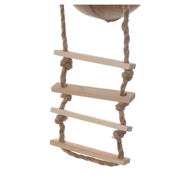 new natural wooden parrot toys coconut shell wood handmade parrot house matching ladde qylsgb dh_seller2010
new natural wooden parrot toys coconut shell wood handmade parrot house matching ladde qylsgb dh_seller2010