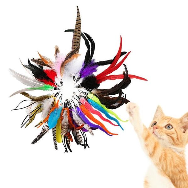 20 designs cat toy cat teaser replacement head funny cat stick diy kitten pet interactive toys fidget toys with bell
20 designs cat toy cat teaser replacement head funny cat stick diy kitten pet interactive toys fidget toys with bell