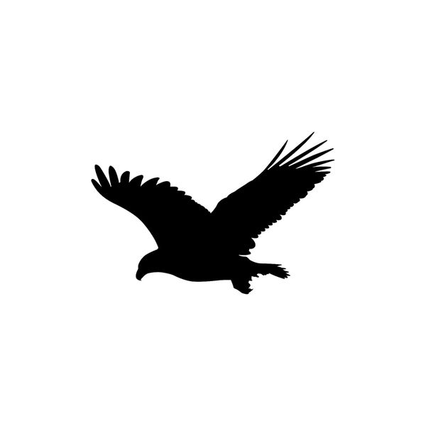 16.6cm*10.9cm fun eagle bird vinyl car window sticker black/silver decal car-styling c11-1078
16.6cm*10.9cm fun eagle bird vinyl car window sticker black/silver decal car-styling c11-1078