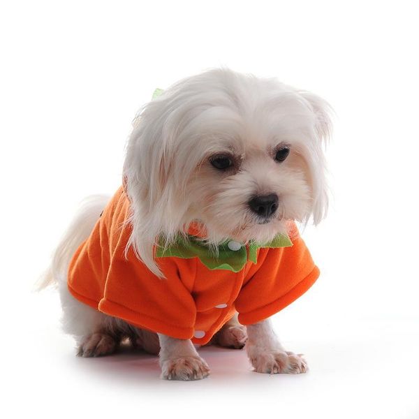 dog apparel doggy puppy jumpsuits warm coats taoneisu pets cat pumpkin clothes for halloween party festival costume clothing
dog apparel doggy puppy jumpsuits warm coats taoneisu pets cat pumpkin clothes for halloween party festival costume clothing