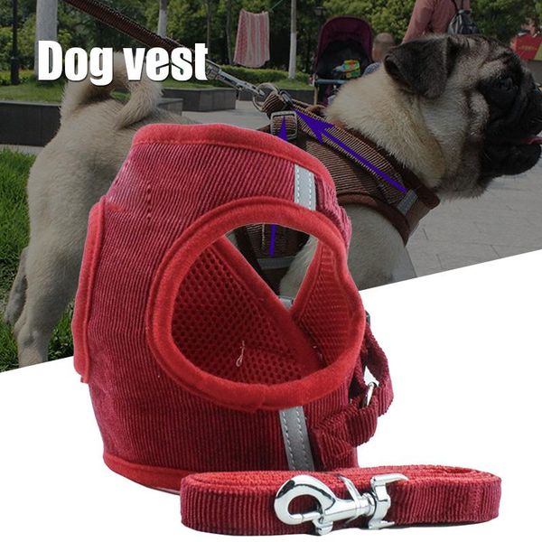 personalized dog harness breathable adjustable pet harness for dogs winter autumn
personalized dog harness breathable adjustable pet harness for dogs winter autumn