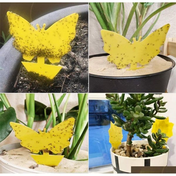 12 pack sticky trap, fruit fly and fungus gnat trap killer indoor and outdoor, protect the plant, qylzuh tore2010
12 pack sticky trap, fruit fly and fungus gnat trap killer indoor and outdoor, protect the plant, qylzuh tore2010