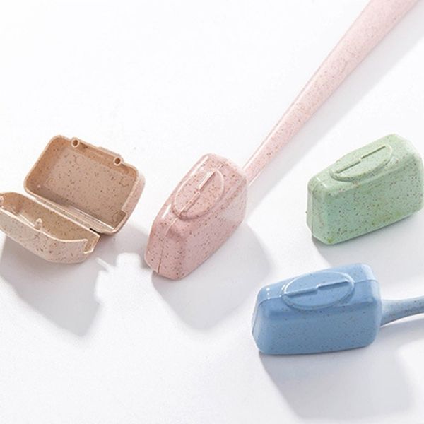 4pc brush case travel toothbrush head cover case protective caps health wheat straw protect hike brush cleaner
4pc brush case travel toothbrush head cover case protective caps health wheat straw protect hike brush cleaner