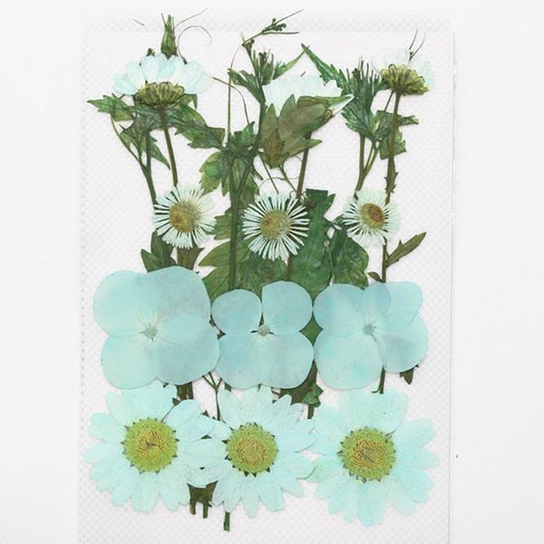 1bag dried flowers uv resin decorative natural floral flower stickers 3d beauty nail art decals epoxy mold diy filling jewelry h wmtmxe
1bag dried flowers uv resin decorative natural floral flower stickers 3d beauty nail art decals epoxy mold diy filling jewelry h wmtmxe