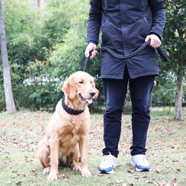 dog collars & leashes 1pcs colorful 4 sizes double strand rope large metal p chain buckle national color pet traction collar set
dog collars & leashes 1pcs colorful 4 sizes double strand rope large metal p chain buckle national color pet traction collar set