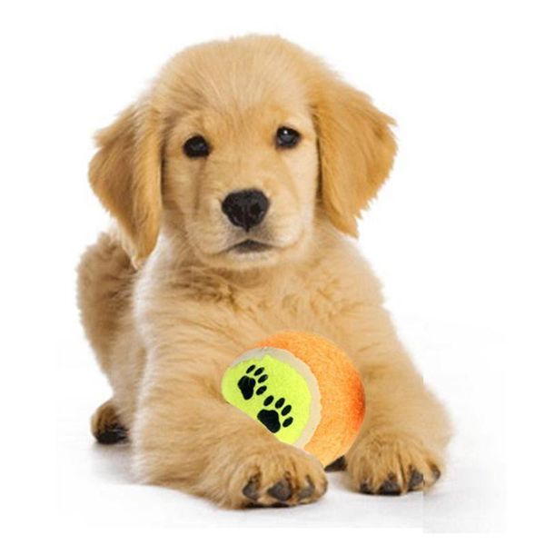 ball 6.5c mtennis for pet dog chew toy pet toy ball small dogs supplies cricket puppy play toys for dog balls games pet products
ball 6.5c mtennis for pet dog chew toy pet toy ball small dogs supplies cricket puppy play toys for dog balls games pet products