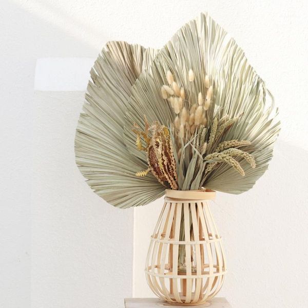 palm fan leaf dried flower natural dried palm leaf fan plant diy party art wall hanging wedding decoration flores secas1
palm fan leaf dried flower natural dried palm leaf fan plant diy party art wall hanging wedding decoration flores secas1