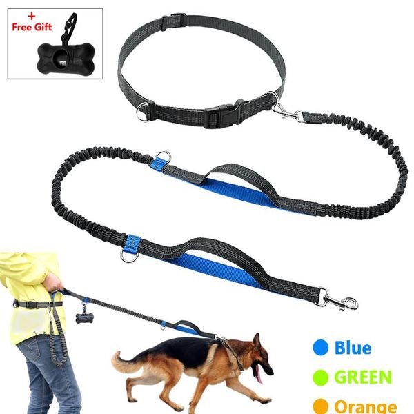 hands dog leash retractable bungee leash lead reflective for running walking up to 150 lbs large dogs bag d bbycsj
hands dog leash retractable bungee leash lead reflective for running walking up to 150 lbs large dogs bag d bbycsj