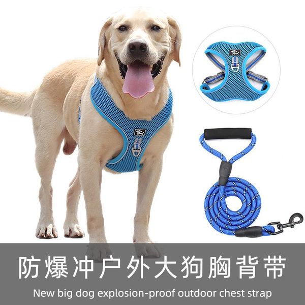 dog collar dog leash for dogs pet harness accessories necklace accessories for large dogs luminous collar
dog collar dog leash for dogs pet harness accessories necklace accessories for large dogs luminous collar