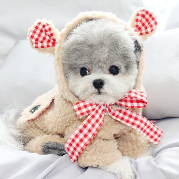 dog apparel winter pet clothes warm dogs pets clothing chihuahua puppy outfit soft fleece coat jacket jumpsuit costume products
dog apparel winter pet clothes warm dogs pets clothing chihuahua puppy outfit soft fleece coat jacket jumpsuit costume products