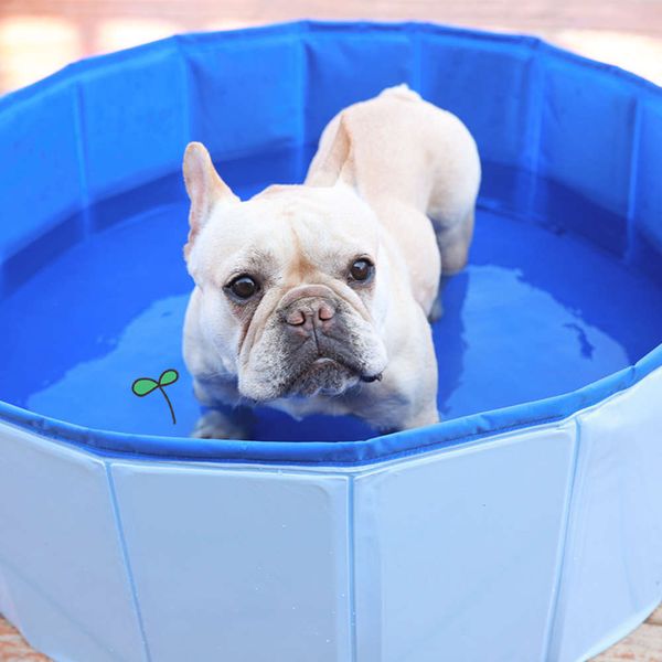 pet foldable medium and large dog swimming pool bathtub
pet foldable medium and large dog swimming pool bathtub