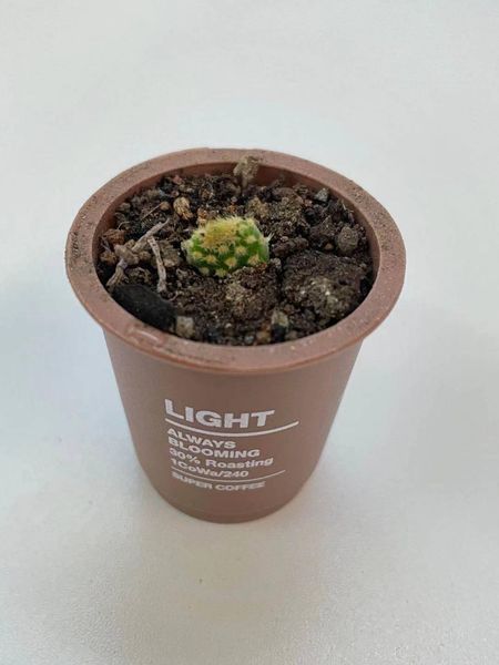 myyshop_gate88
myyshop_gate88