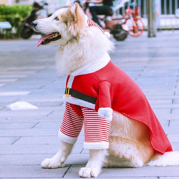 dog apparel cat christmas clothes small and large dogs standing two-legs santa cosplay coat pet autumn winter supplies
dog apparel cat christmas clothes small and large dogs standing two-legs santa cosplay coat pet autumn winter supplies