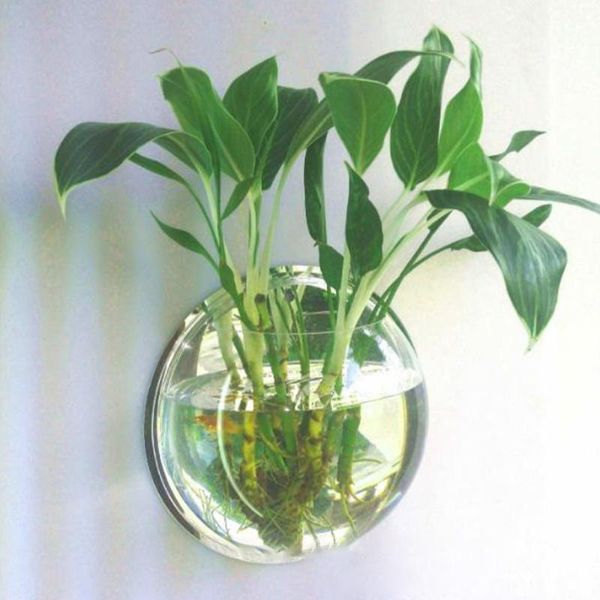 decorations transparent acrylic hanging wall mounted fish tank bowl vase aquarium flower plant home decoration ornament
decorations transparent acrylic hanging wall mounted fish tank bowl vase aquarium flower plant home decoration ornament