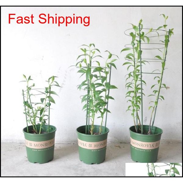 80pcs height 45/60/75cm metal plastic plant supporter support cage plant-staking system for clematis,tomato ga qyllgw packing2010
80pcs height 45/60/75cm metal plastic plant supporter support cage plant-staking system for clematis,tomato ga qyllgw packing2010