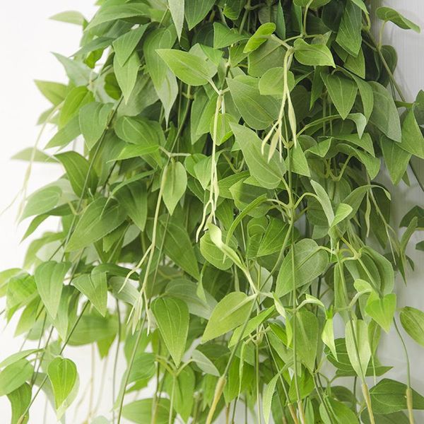 70см искусственные лозы листья висит clematis растения цветы для сада украшения поддельных плющой шелковый зеленый ротанга гирлянда стена
70см искусственные лозы листья висит clematis растения цветы для сада украшения поддельных плющой шелковый зеленый ротанга гирлянда стена