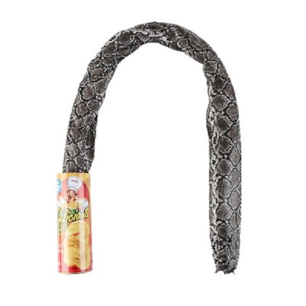 april fool's day gift student spoof potato chip snake bouncing make peoples startled and tricky potato chip bucket snake
april fool's day gift student spoof potato chip snake bouncing make peoples startled and tricky potato chip bucket snake