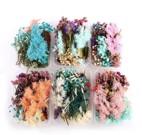 real dried flower dry plants for aromatherapy candle epoxy resin pendant necklace jewelry making dried flowe jllrkq yeah2010
real dried flower dry plants for aromatherapy candle epoxy resin pendant necklace jewelry making dried flowe jllrkq yeah2010