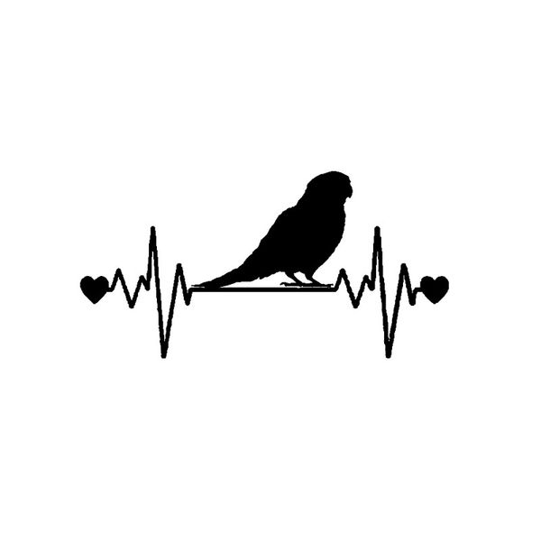 16cm*8.1cm fun parakeet lifeline heartbeat bird vinyl car sticker decal black/silver c11-1047
16cm*8.1cm fun parakeet lifeline heartbeat bird vinyl car sticker decal black/silver c11-1047