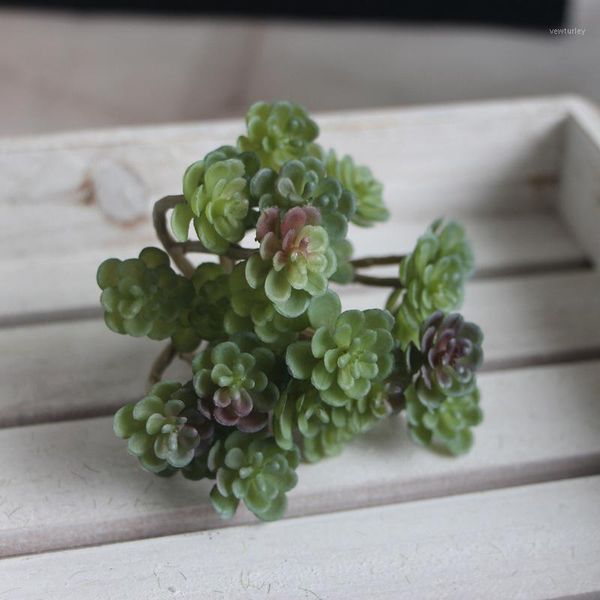 decorative flowers & wreaths 1pc micro landscapes simulation 24 heads succulent home decoration fake plants1
decorative flowers & wreaths 1pc micro landscapes simulation 24 heads succulent home decoration fake plants1