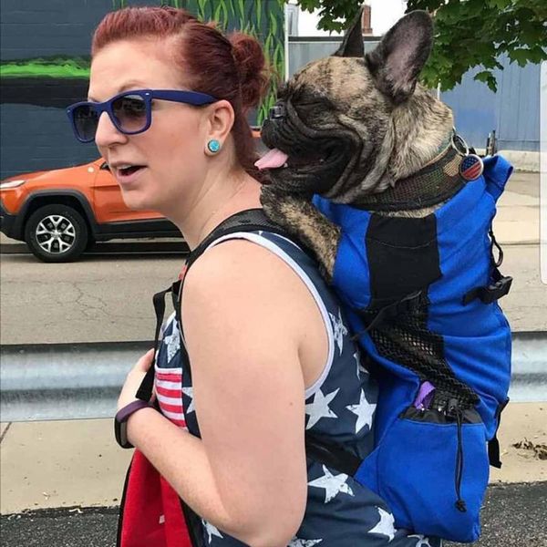2021 new large pet backpack dog cats carrier bag puppy outdoor riding hiking travel drop shipping
2021 new large pet backpack dog cats carrier bag puppy outdoor riding hiking travel drop shipping