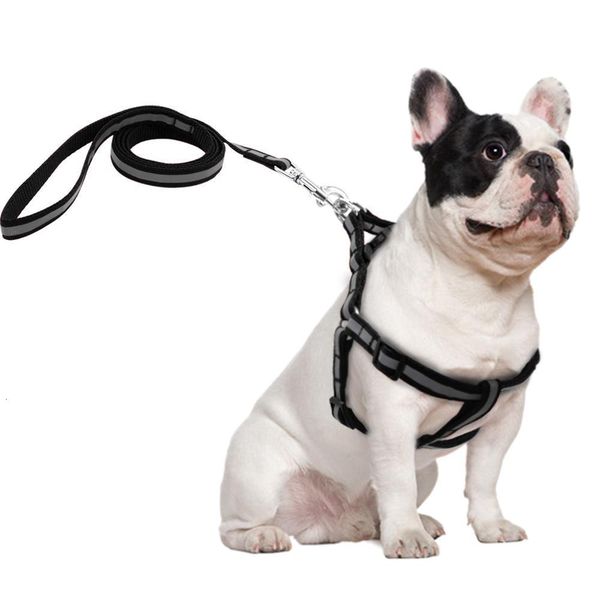 7 colors nylon reflective dog harness leash lead set for small medium dogs puppy chihuahua yorkie m
7 colors nylon reflective dog harness leash lead set for small medium dogs puppy chihuahua yorkie m
