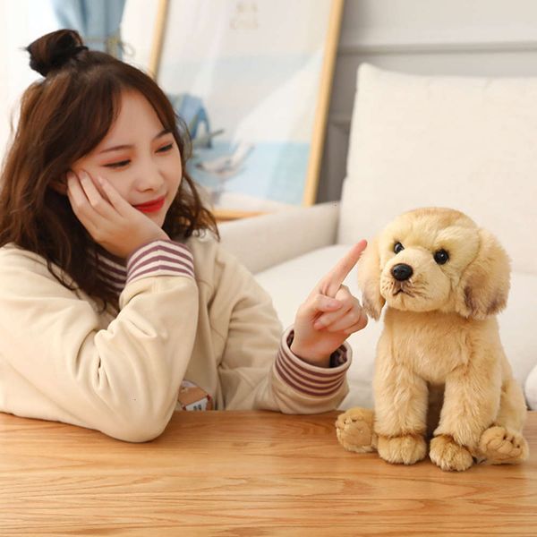toy labrador simulation dog doll plush 0h1d
toy labrador simulation dog doll plush 0h1d