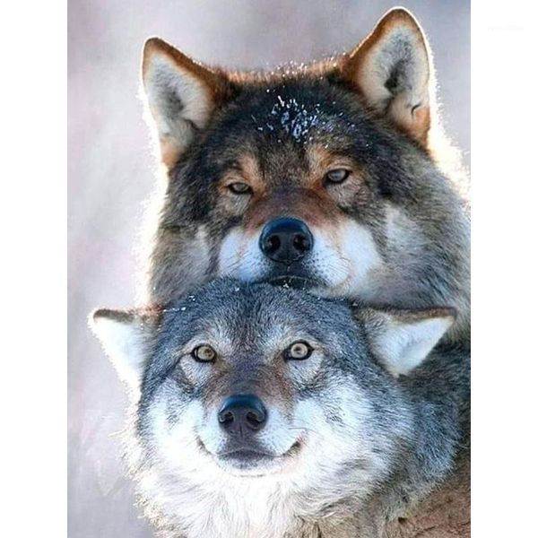 diamond painting 5d wolf broderie diamond cartoon embroidery cross stitch american style home decor painting pictures1
diamond painting 5d wolf broderie diamond cartoon embroidery cross stitch american style home decor painting pictures1